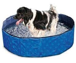 Doggy Pool blau